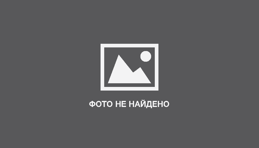 Арт из пластиковых бутылок